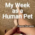 Eric, now Erica: My Week as a Human Pet (X-Change Leash)