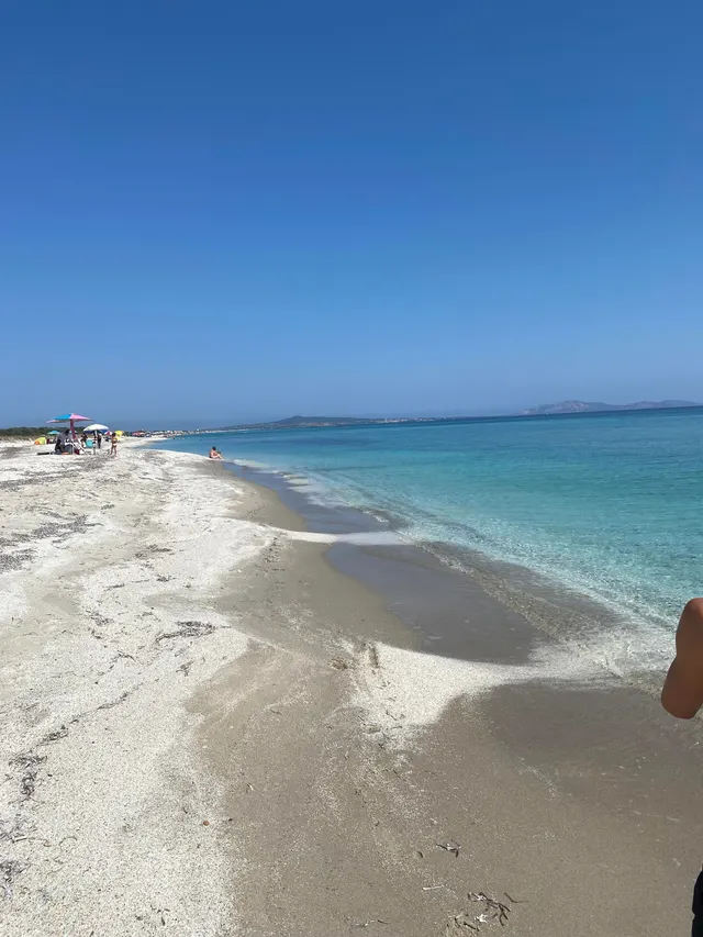 Another day at the beach