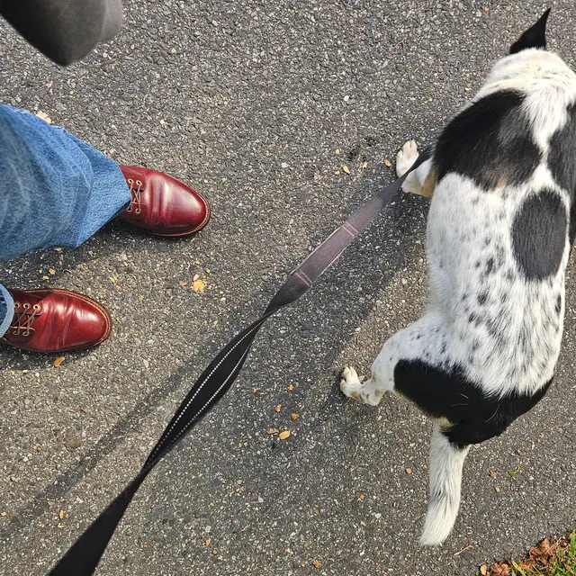 Man am I glad I passed over Thursday for these