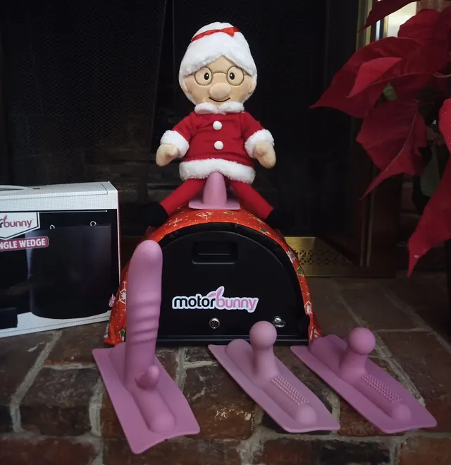 Santa Bunny Done Good