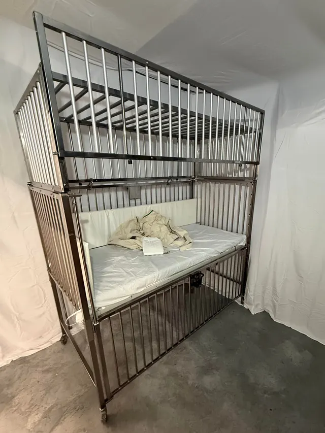 Vintage Adult Size Hospital Cribs with Cage Tops for your viewing pleasure