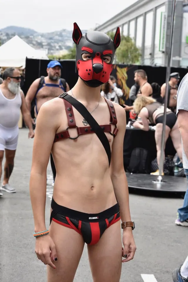 This was me at Folsom am I a good pup?
