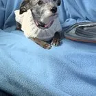 Fall-Winter Sweater Collection