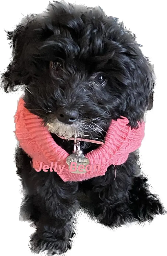 Looking for the love of my life 💕