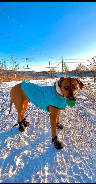 enjoying the sunshine with cute little booties