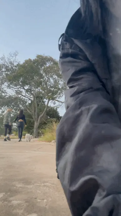 imagine this creature appearing from nowhere