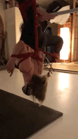 Inverted Scorpion pose with a twist