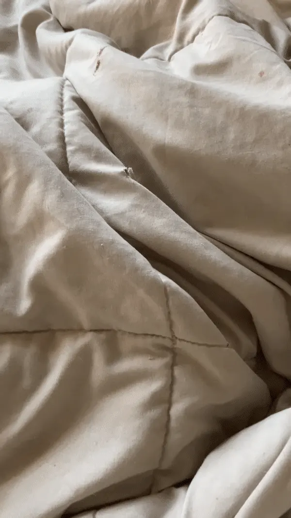 Be honest.. wyd if you wake up next to this?