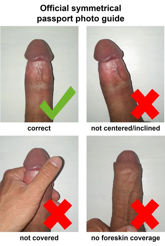 Official symmetrical dickpic photo guide