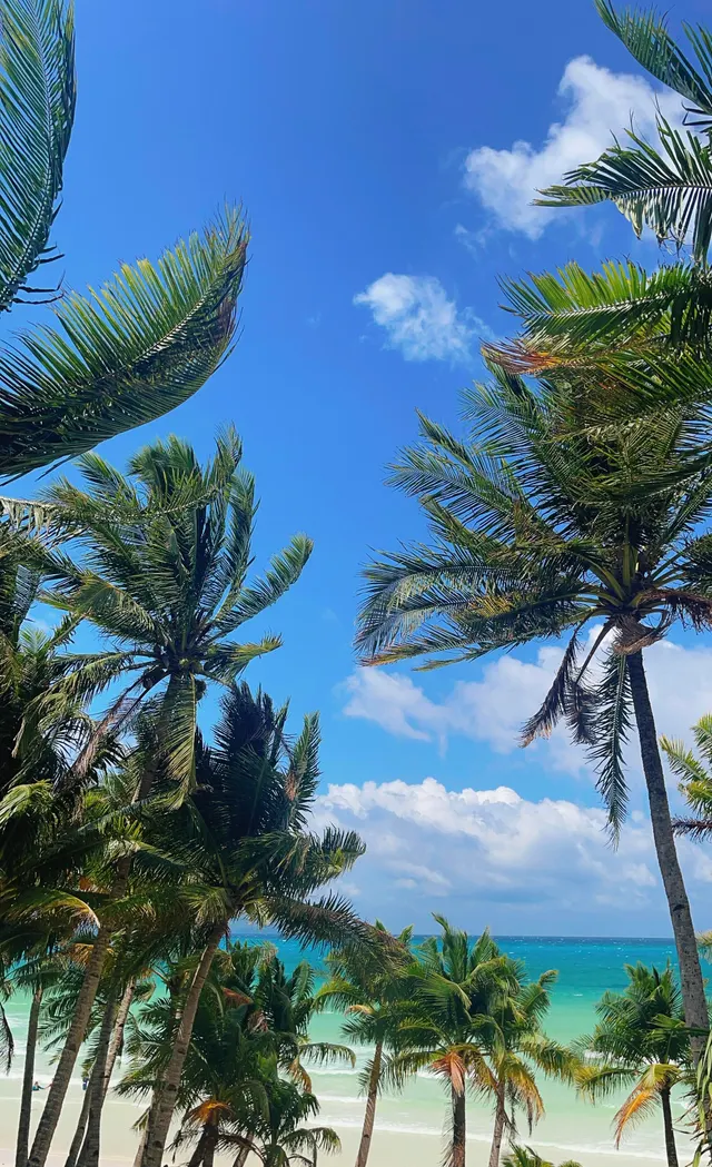 This view from my room 🫶🏼