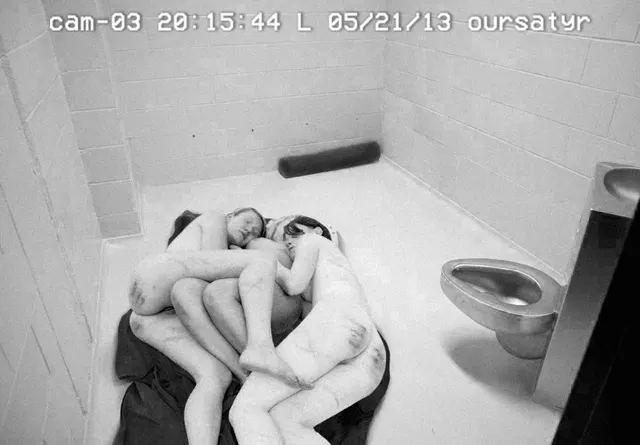 Three whipped pets in shelter waiting for their new owners