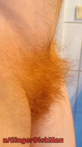 My pubes are long and orange. Would you laugh or find them hot if you saw me in public shower or at the nudist beach. Or would you come by and ask if you can take a picture/selfie of it ;)