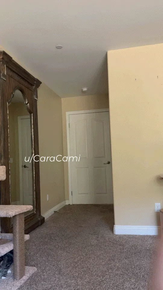 Follow the ✨ jiggles ✨