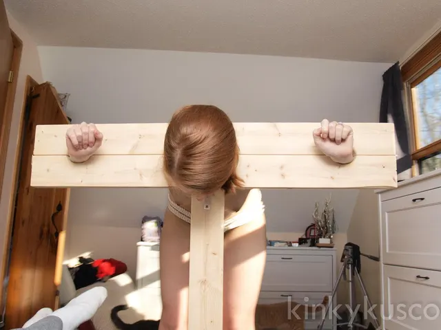 My then-fiancee locked in the pillory I made for her in college