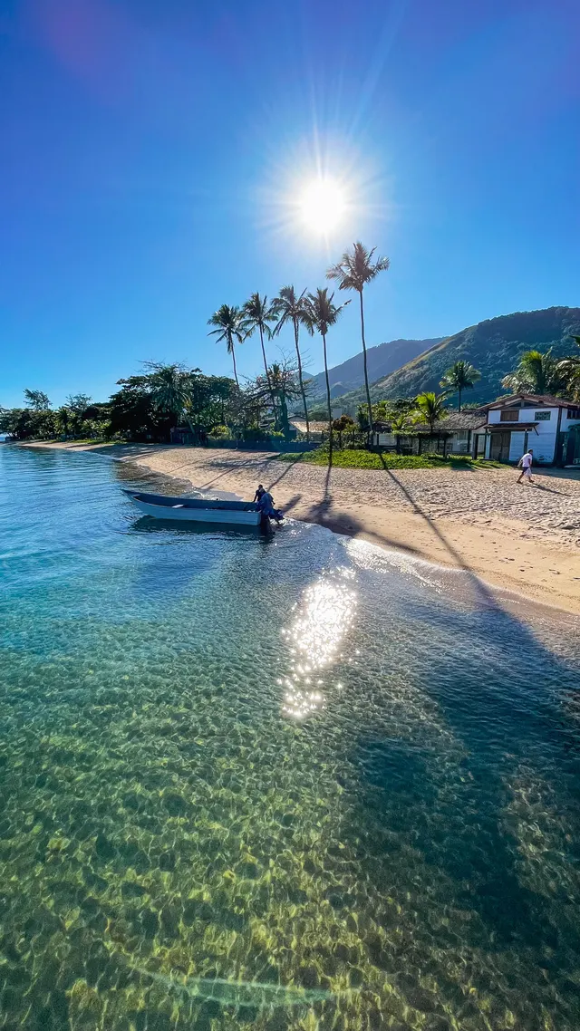 This is my morning view every day, on an island in Brazil