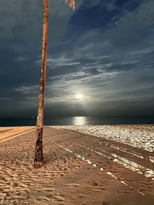 So pretty at night ! 