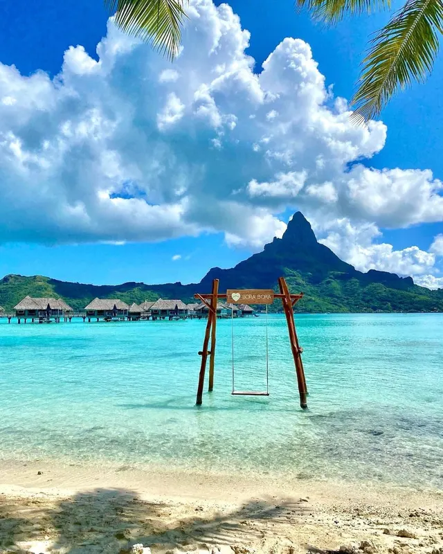 What about relaxing on that sea swing?😍🏝🌊💚
