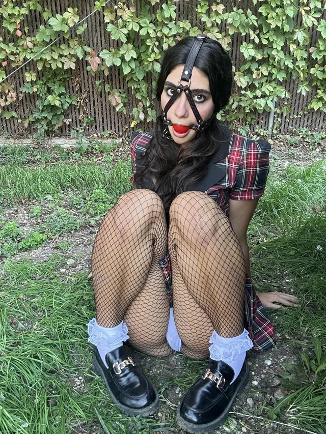 Keep a harness on your pet!