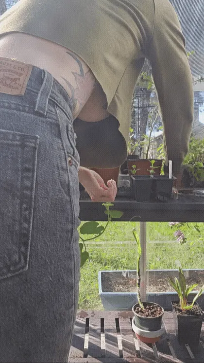 Just cleaning up the greenhouse 😋