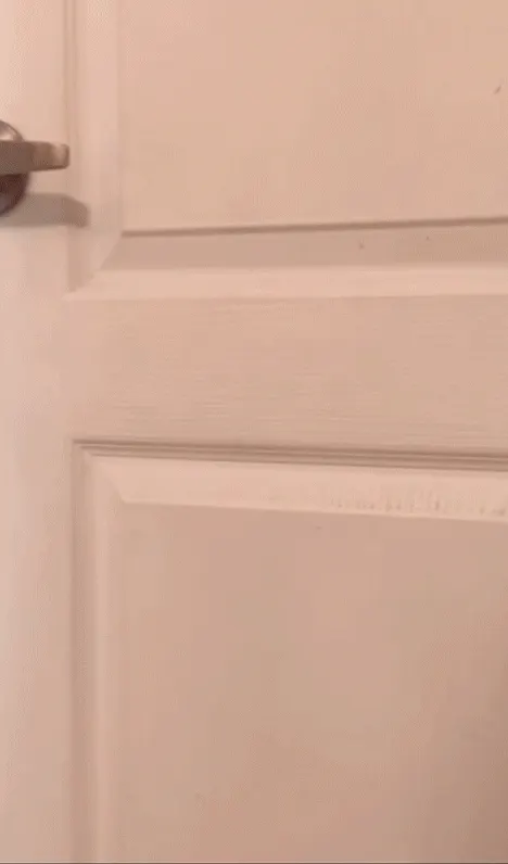 You'll never learn to knock will you?