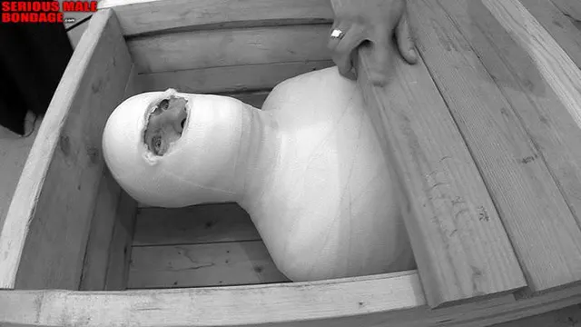 What’s the last you hear as the coffin is nailed shut?