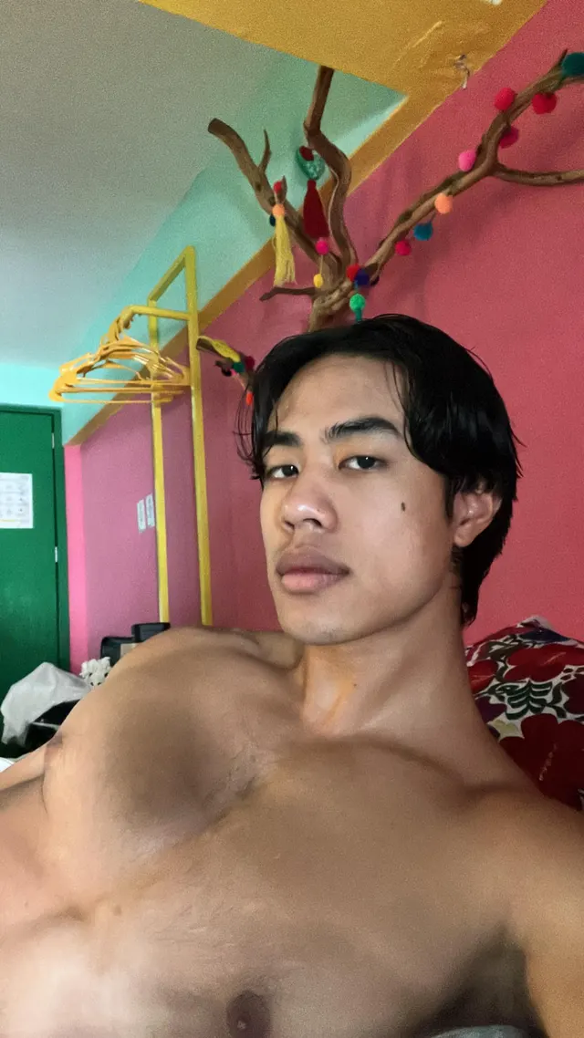 happy sunday from seattle! 🌲