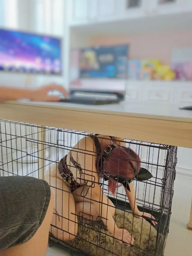 That’s my place. Under the table. In silence.♡