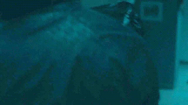 She thought it was her boyfriend...