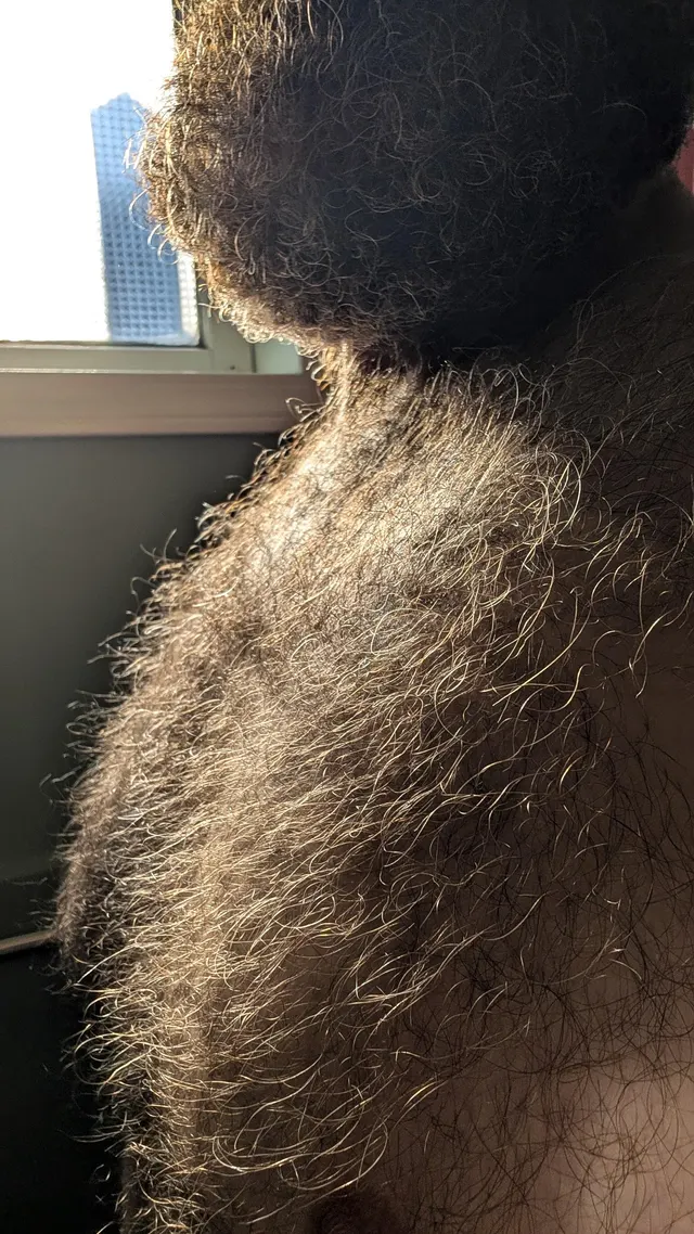 Stopped trimming. It's Sasquatch summer.