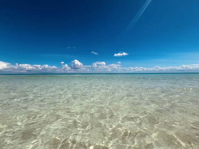 Somewhere in Mexico.