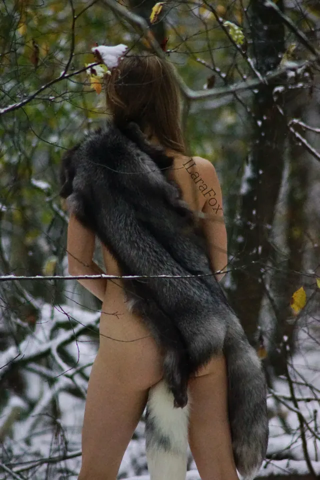 Going on an adventure 🦊 ❄️