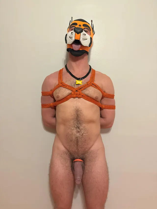 Bound Pup