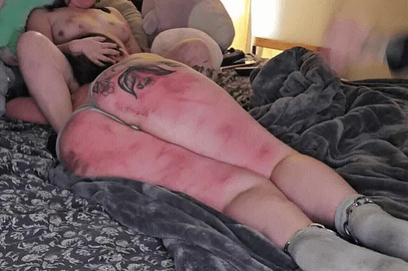 A pig knows what it’s for and how important that is.