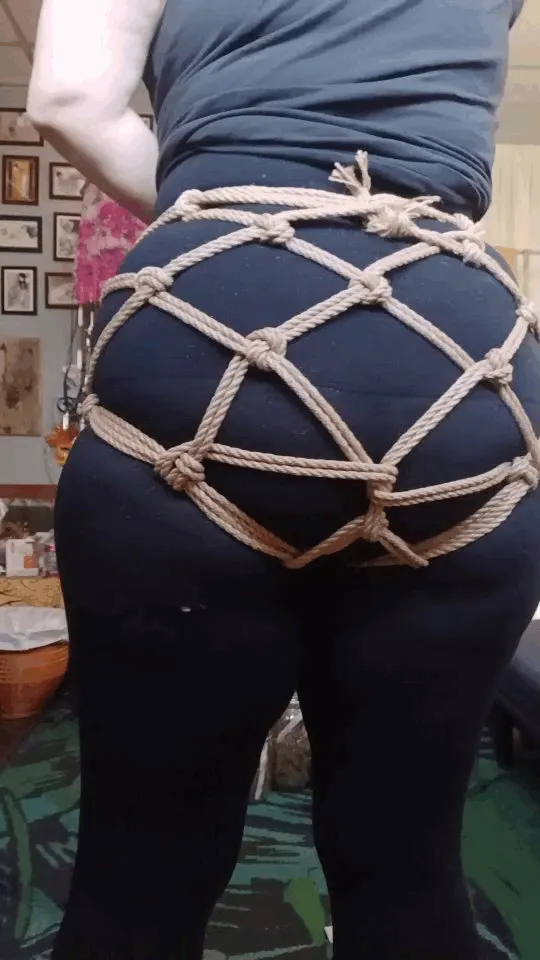 The Monarch hip harness