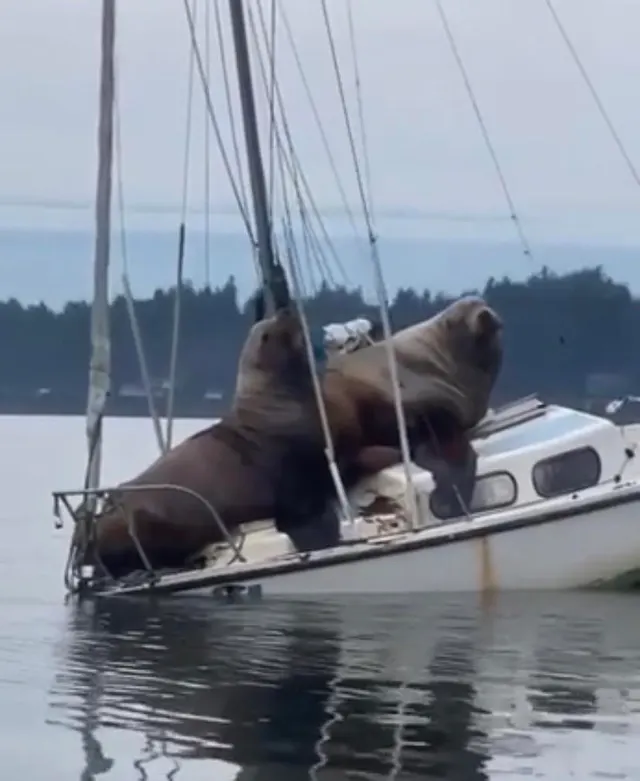 wow, this is so H O T