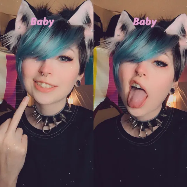 punk kitty🐱