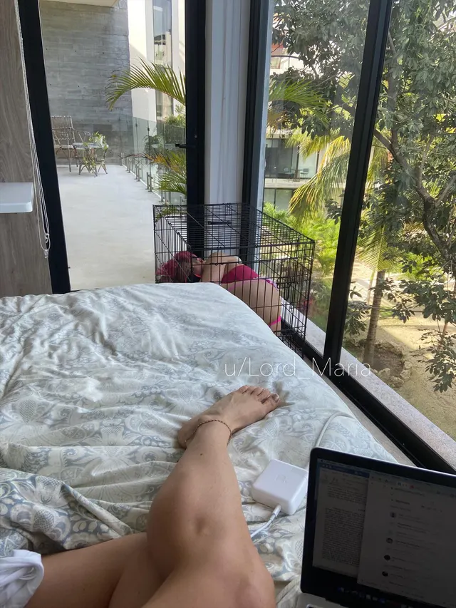 When I tell people I am a lifestyle Domme, they imagine My life as endless days of sadistic practices. Silly humans ... My life is actually quite banal.