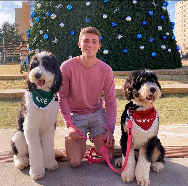 Merry Christmas from a single dad and his doggies