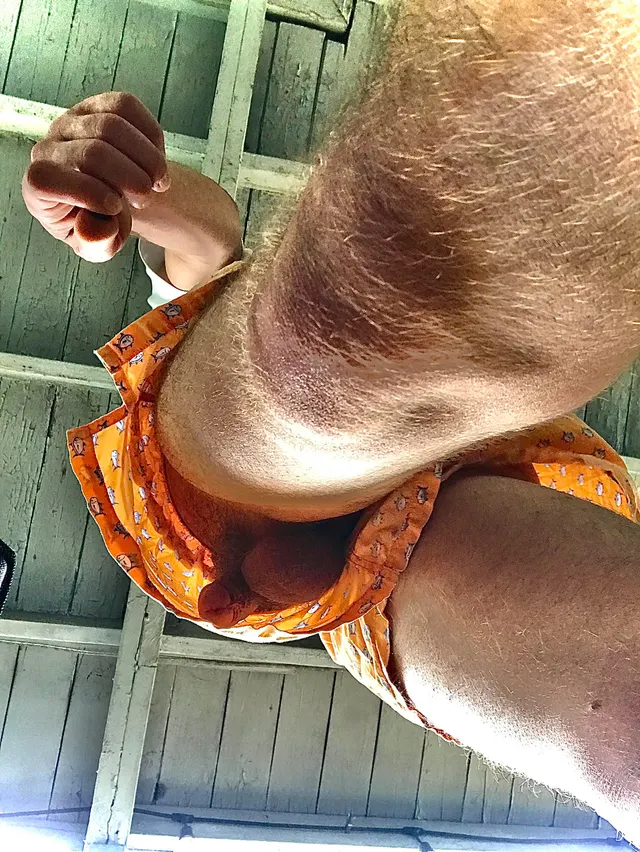 Orange boxers