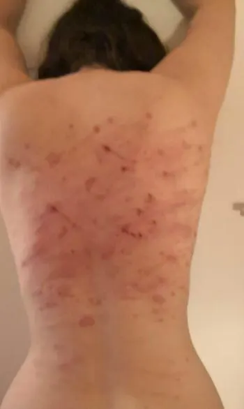 Daddy whipped me with the bullwhip! #linkinbio