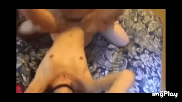 My slutty friend kylie