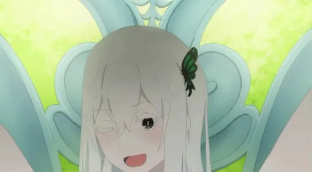 Echidna expanding her knowledge