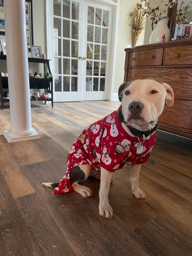 She’s being a Grinch about her pajamas