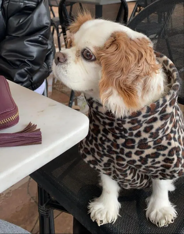 my princess is waiting for her order