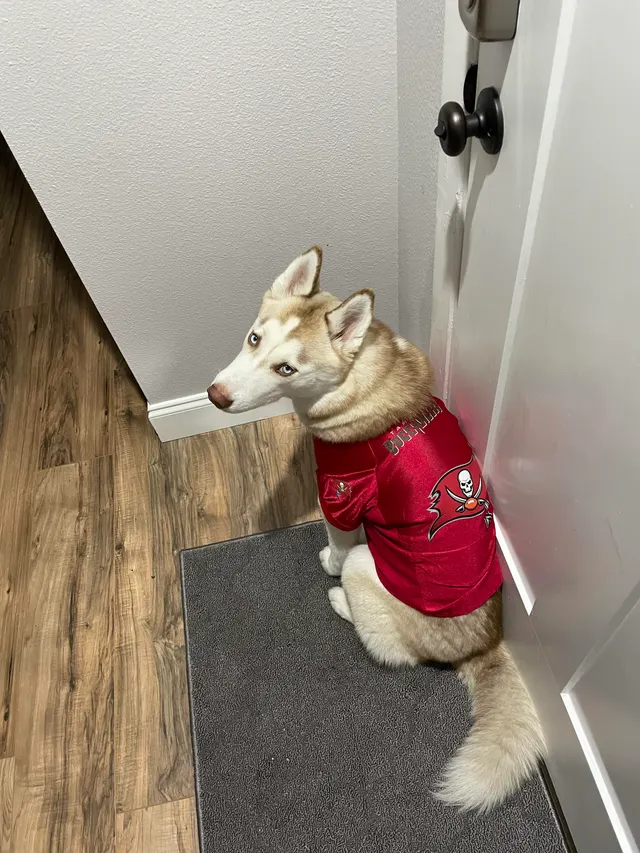 Tough loss tonight Cado did not take it well