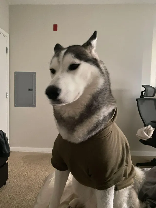 Amy's clothes seem to fit a little.