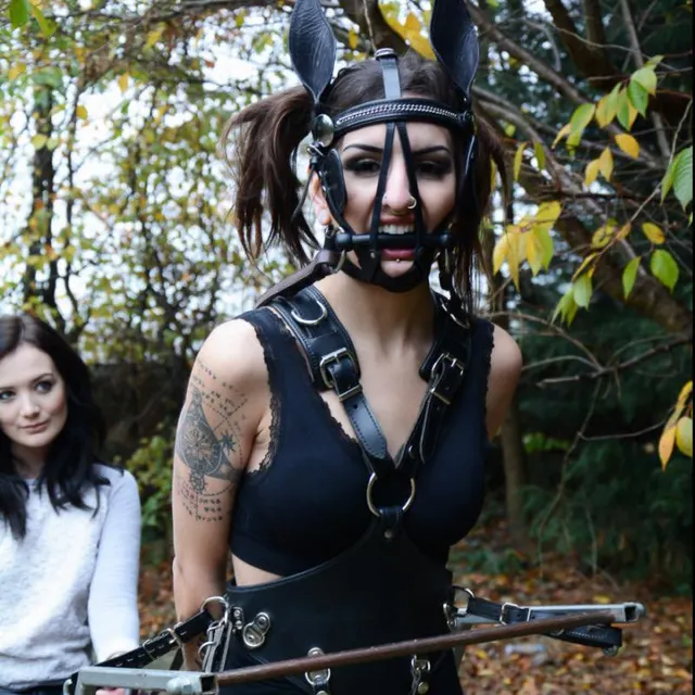 The leather pony gear was fastened you her body and her friend slowly lead her outside. She felt a rush of embarrassment and excitement at the same time.