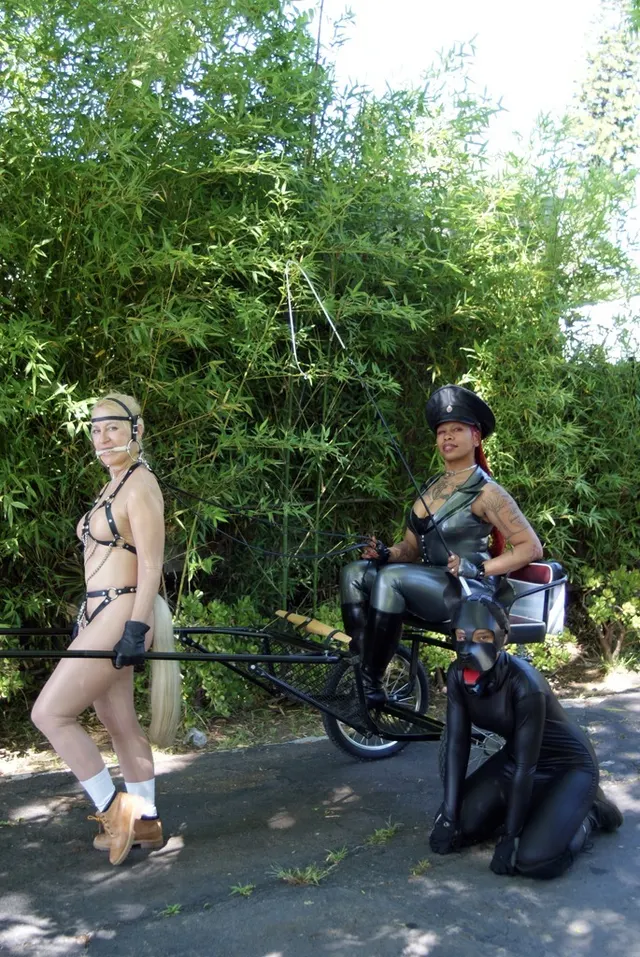 Another satisfied star stable and kennel customer.