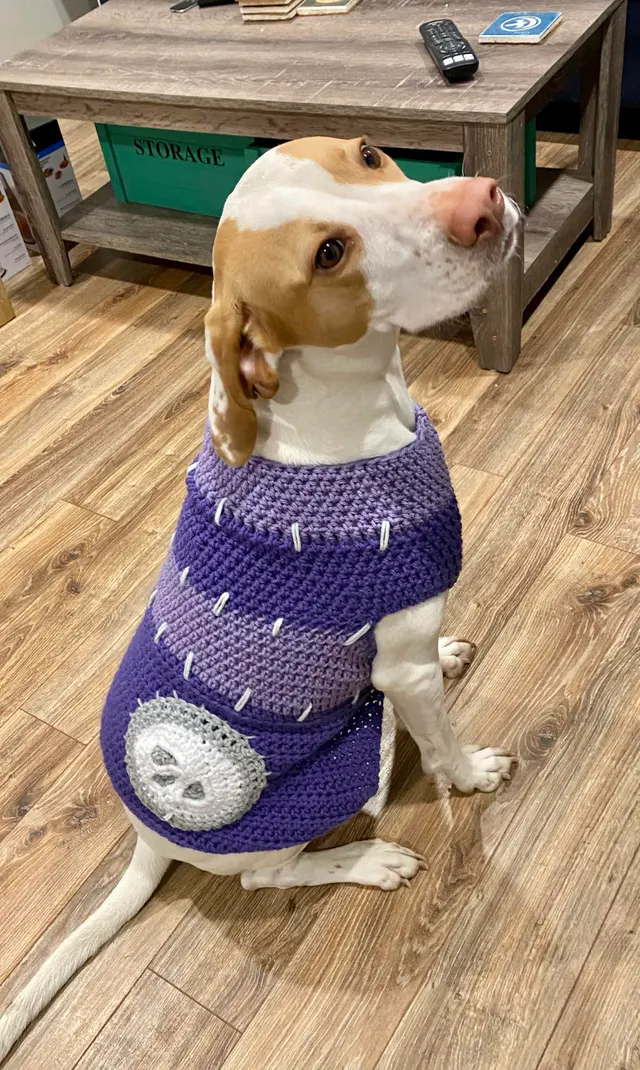 Doc Pup Sweater