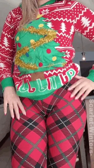 this teachers got the perfect Christmas outfit [mrs][miss]